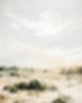 10_iphone_edited.jpg