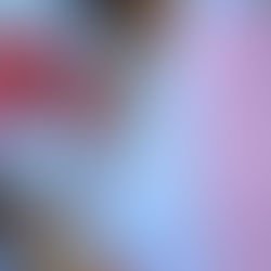 Cucarachas, resiliencia y la vida creativa en pausa