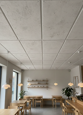 Myceliumloft_01 (1).png