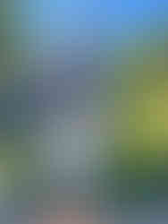 On Wonder of the Seas with my family 