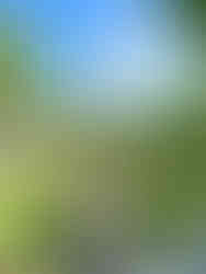 On Wonder of the Seas with my family 