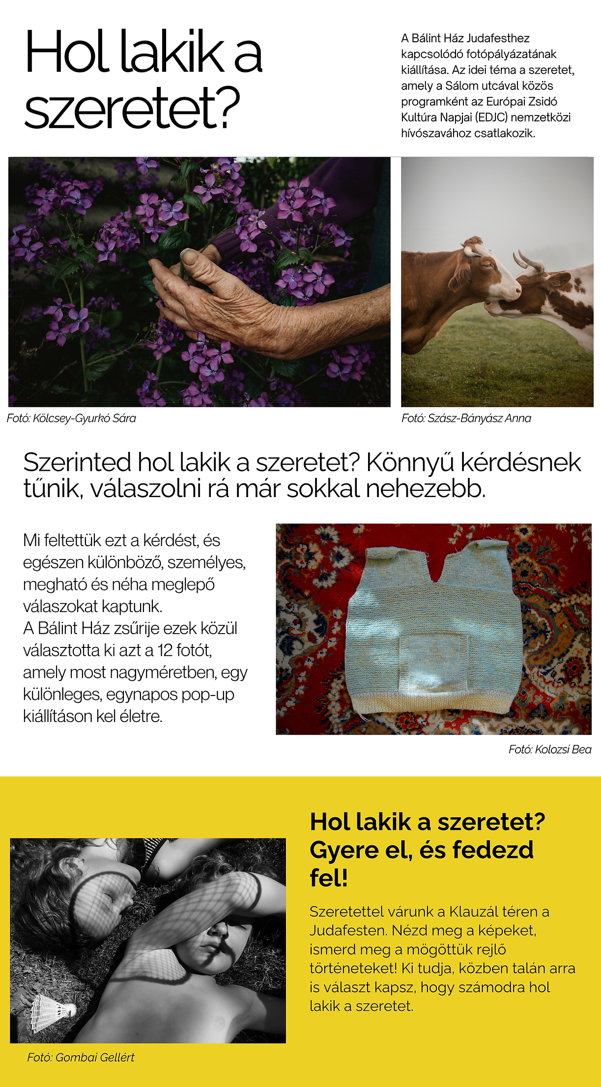 fotopalyazat01 PDF másolata.png