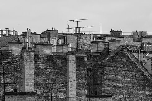 IMG_7822.jpg