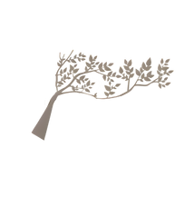 treeonly.png