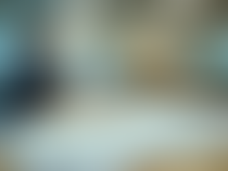 所有不動産記録証明制度の活用