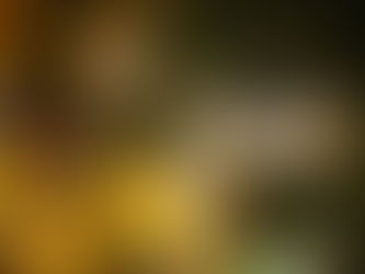 Vue en plongée à travers les branches d’un sapin de Noël, avec des billes colorées, des cartes à jouer et un casse-noisette posé en décor rétro.