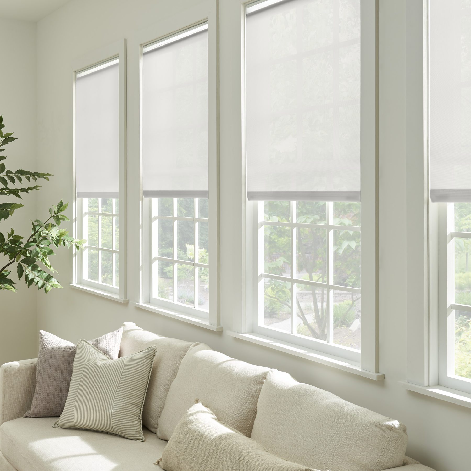 Horizons light-filtering roller shades in a living room