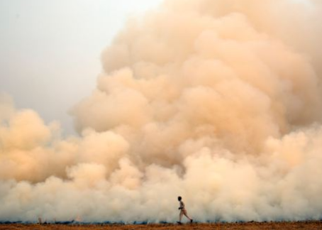 Peace and Climate Change