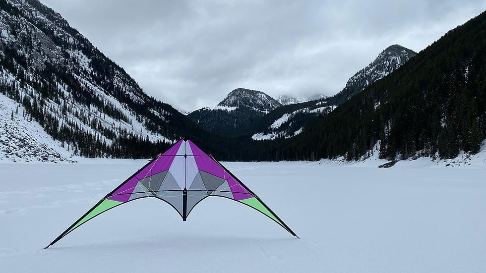 Miniature : Spur SE