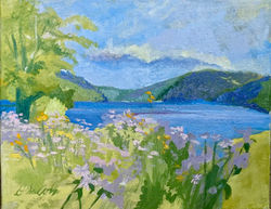 Quabbin Summer 2025