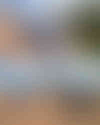 Installation 16 panneaux SunPower à Laluque 