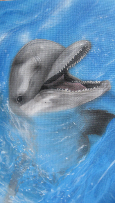 Delfin291109