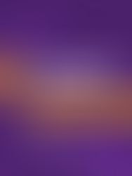 INFORMATIVO QUINZENAL | TRANSPORTE E LOGÍSTICA #9