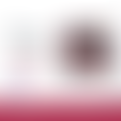 ZPB Advogados doa 500 kg de alimentos para a campanha Campinas Sem Fome