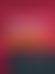 INFORMATIVO QUINZENAL | TRANSPORTE E LOGÍSTICA #45