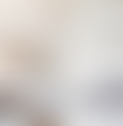 Boletim ZPB n° 02/20