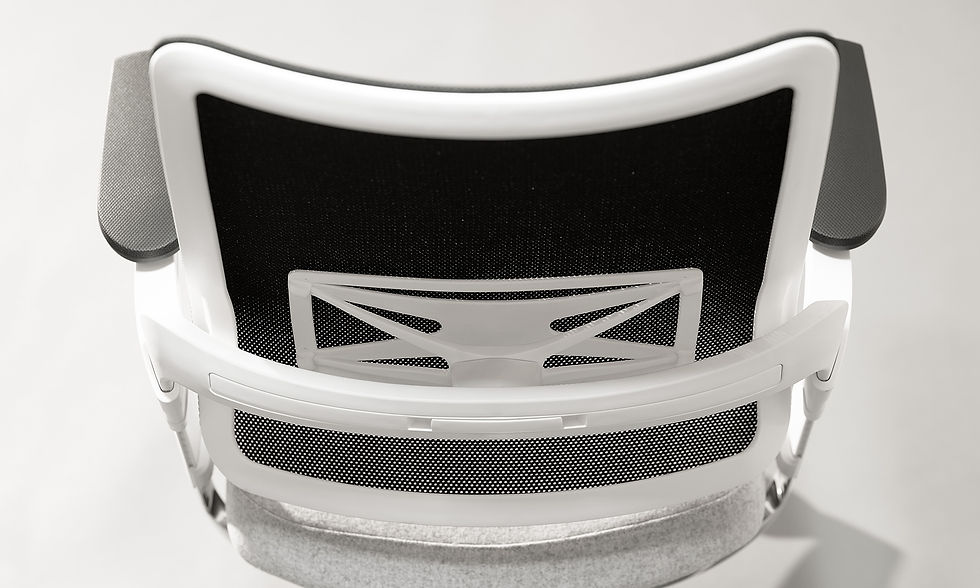 Xilium Adjustable Lumbar Support