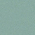 image template