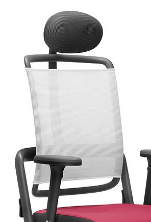 Xenium_Freewrok_Net_Neckrest_02.jpg