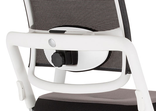 Xenium_Freework_Net_Lumbar_Support.jpg