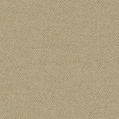image template