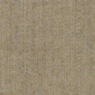 image template