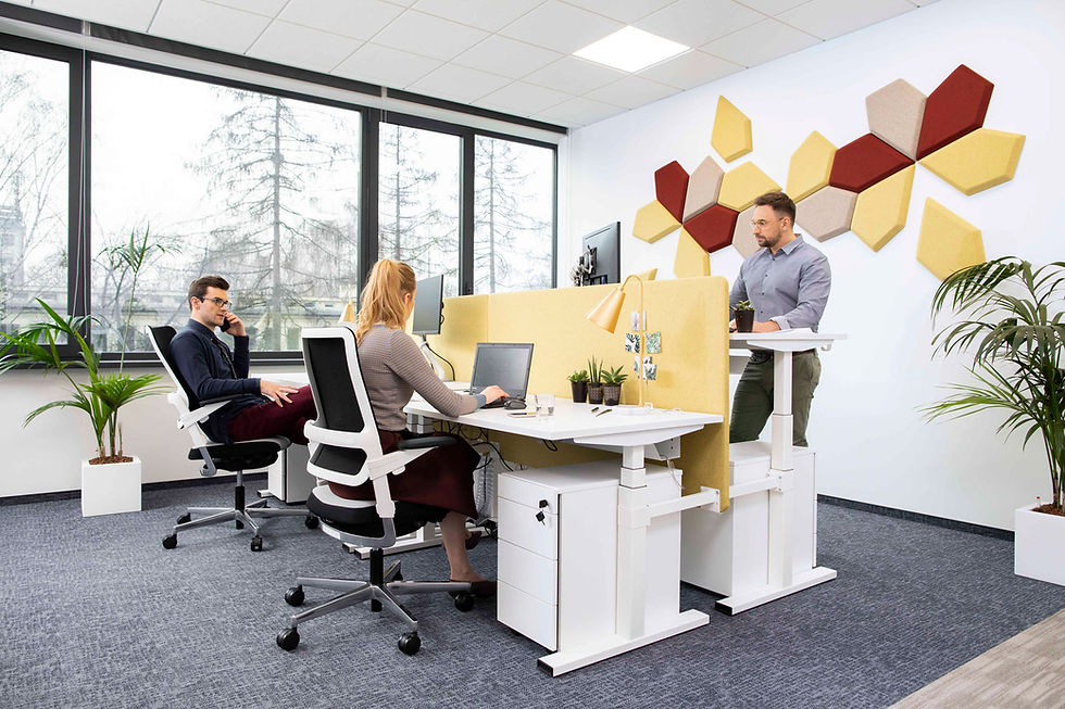 Xilium Mesh chair in the Office