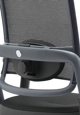 Xenium_Net_Lumbar_Support.jpg