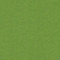 image template