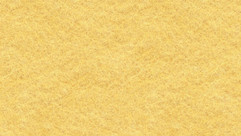 FC08 Yellow