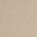 image template
