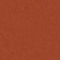 image template