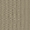 image template