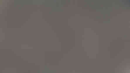 MLF63