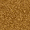 image template