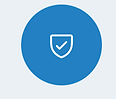 Shield Icon