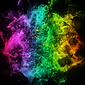 suzannebertolas_sq_00144 (1).png