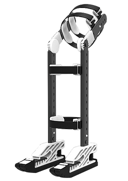 overall intro.png
