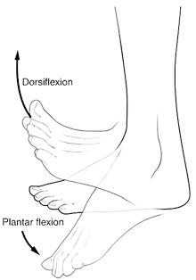 pasted_image_0-removebg-preview.png