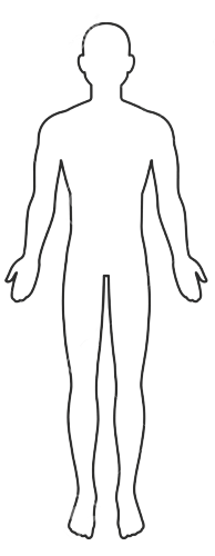 124951293-male-and-female-body-silhouett