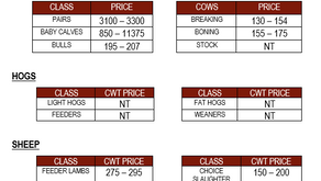 August 26th, 2026 Market Report