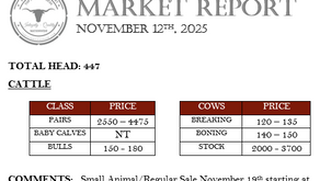 November 12th, 2025 Market Report