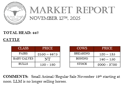 November 12th, 2025 Market Report