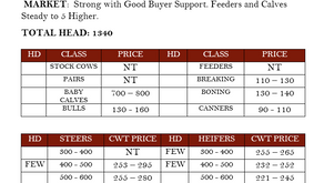 September 4th, 2024 Market Report