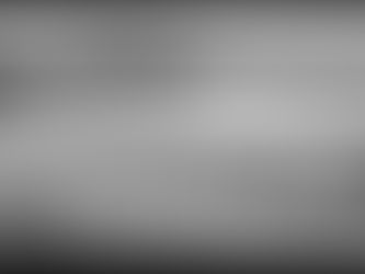 Fall Season in Black and White