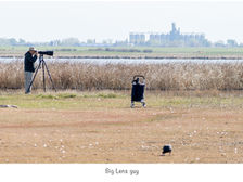 Birding - With Camera