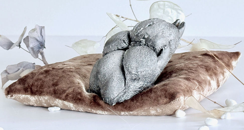 3D casted paw that can be framed or rested on the vetet cushion on a shelf