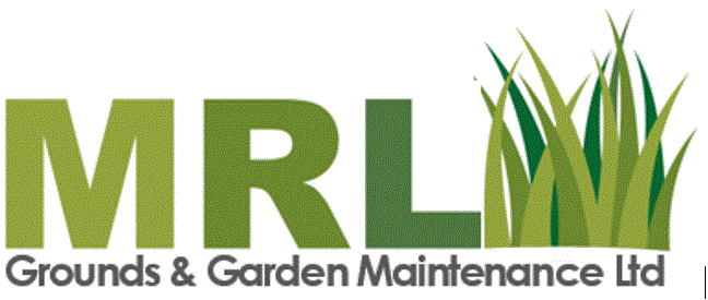 logo.GIF