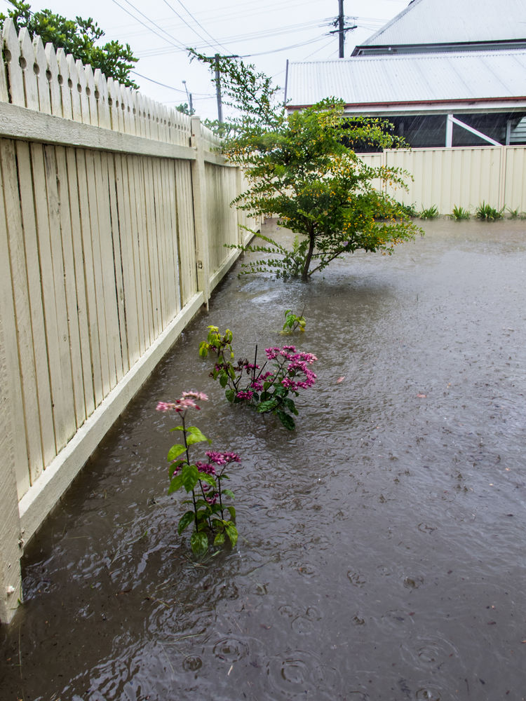 3 Steps to Fix a Flooded Garden