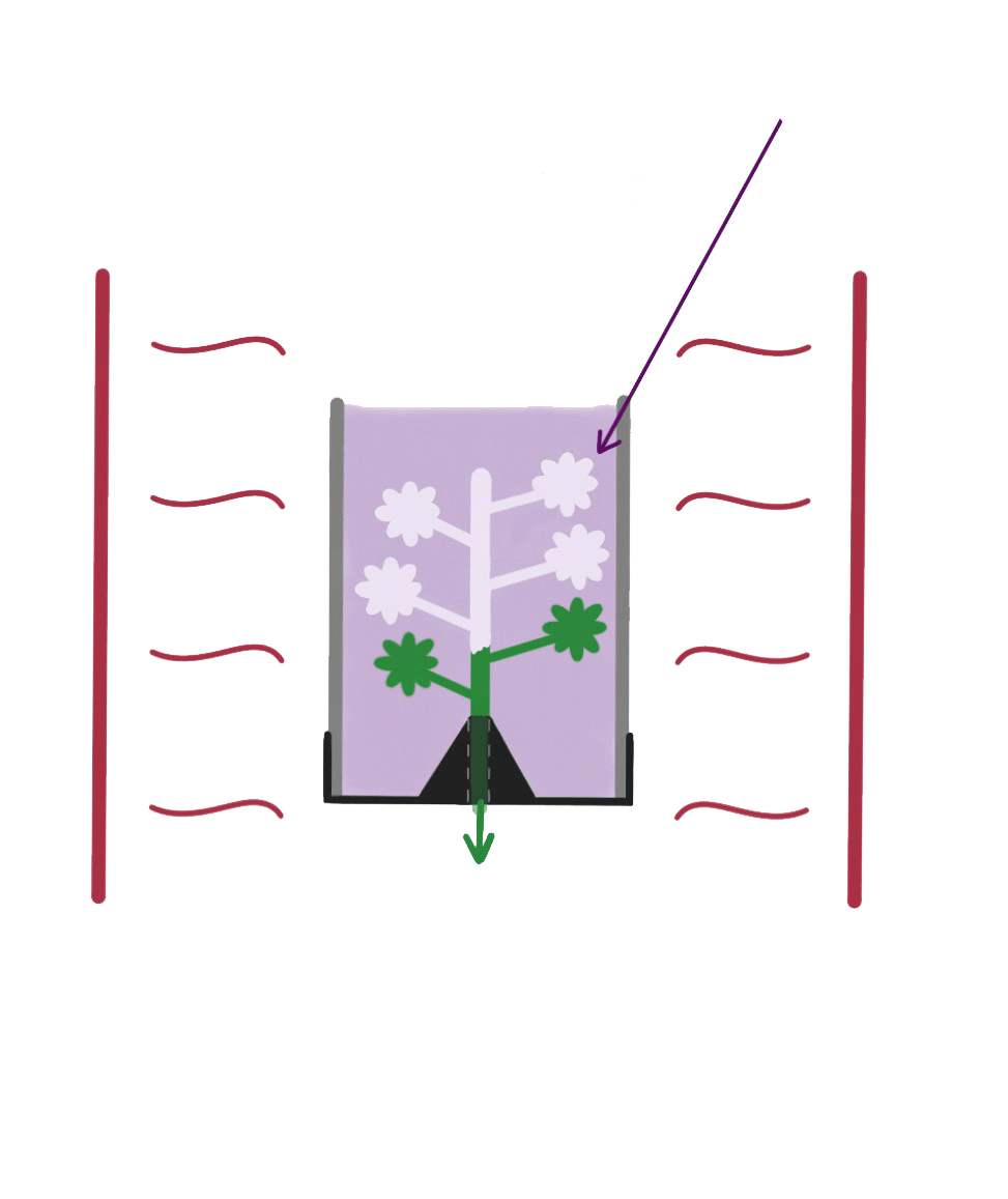 Schéma de la cuisson de l'arbre de coulée avec la cire qui s'écoule.